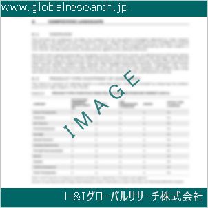 グローバルリサーチ調査資料のイメージ